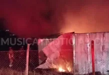 Incendio en sector Los Cristales deja millonarias pérdidas en Curicó incedio-06-11-2025