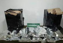 Detienen a sujeto con más de 5 kilos de cannabis sativa en la Ruta 5-Sur frente a San Fernando 5b87efe4-1a52-458e-91e0-11223020d79b