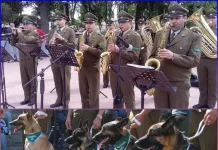 Banda Instrumental y Grupo de Adiestramiento Canino de Carabineros se presentarán este viernes en la Plaza de Romeral Banda Instrumental y Grupo de Adiestramiento Canino de Carabineros se presentarán este jueves en la Plaza de Romeral