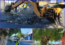 Curicó refuerza acciones para el cuidado del medio ambiente y la seguridad peatonal Curicó refuerza acciones para el cuidado del medio ambiente y la seguridad peatonal-0