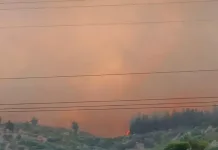 Declaran Alerta Roja en la comuna de Maule por incendio forestal “Cerro Maule” Declaran Alerta Roja en la comuna de Maule por incendio forestal “Cerro Maule”