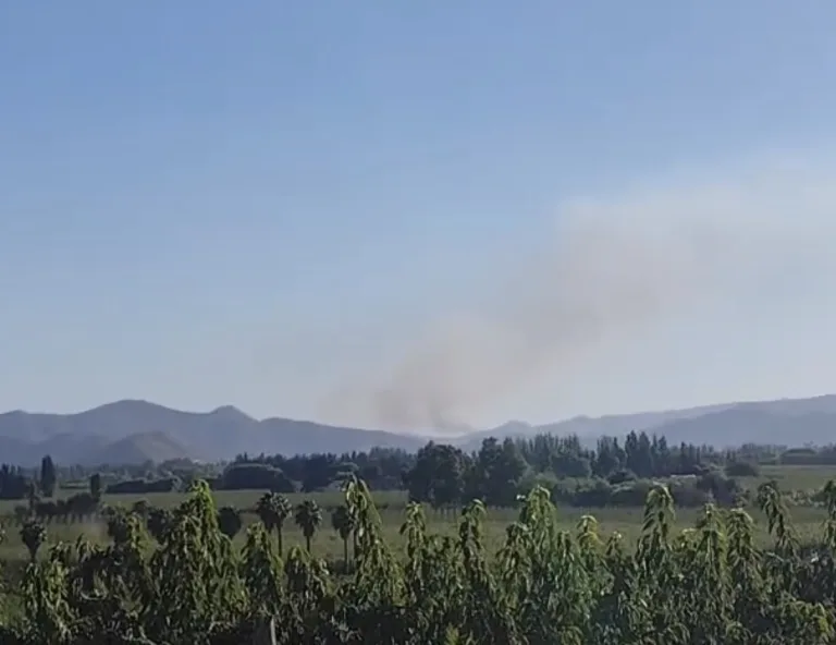 Por incendio forestal, SENAPRED  solicita evacuar sector La Candelaria 3, en la comuna de Chépica