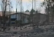 Incedio-Forestal-Maule