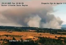 Mantienen Alerta Roja en Litueche por incendio forestal que ya afecta 550 hectáreas Incendio forestal Central Rapel