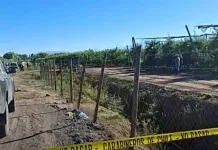 Motociclista fallece tras violento accidente de tránsito en ruta interior de Teno