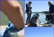 Seremi de Salud toma muestras de agua en Playa Paula mientras Vichuquén espera resultados del IFOP para definir nuevas medidas Seremi de Salud toma muestras de agua en Playa Paula mientras Vichuquén espera resultados del IFOP para definir nuevas medida-0