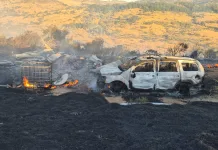 Incendio forestal en Chépica destruye viviendas, un vehículo y mantiene en riesgo colmenas e71d9933-a9f1-4832-ae85-81b1b51ca130