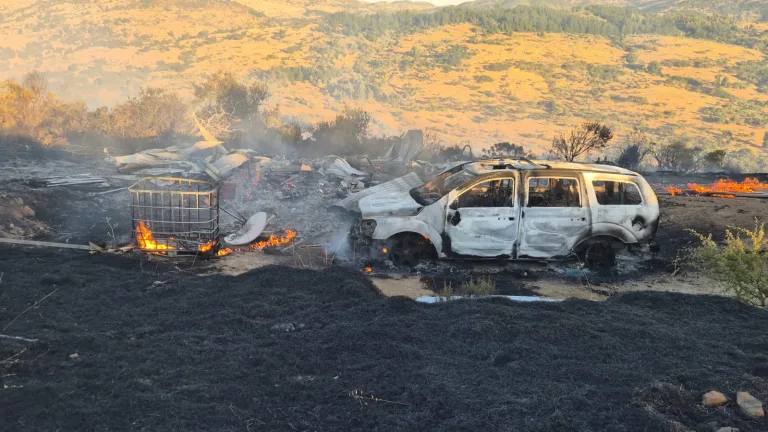 Incendio forestal en Chépica destruye viviendas, un vehículo y mantiene en riesgo colmenas