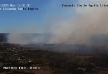 Declaran Alerta Roja en Litueche por incendio forestal cercano a sectores habitados ojo-aguila-litueche-29-12-2025