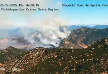 ojo-aguila-pichidegua