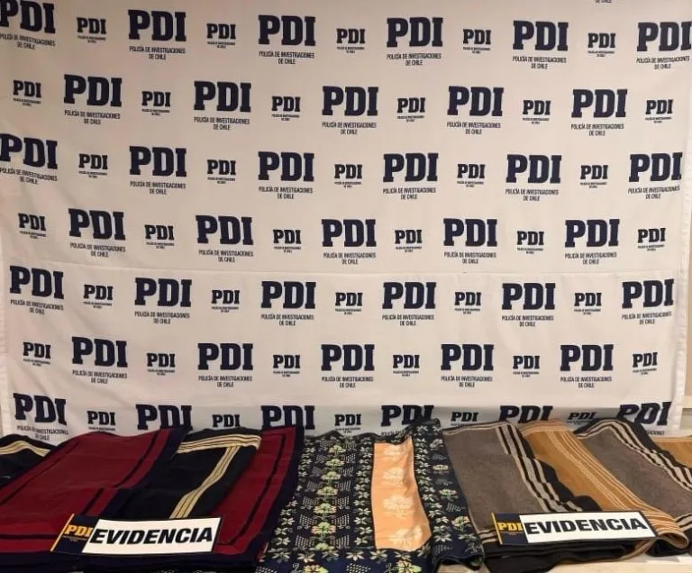 PDI Linares recuperó especies robadas y detuvo a un sujeto por receptación flagrante