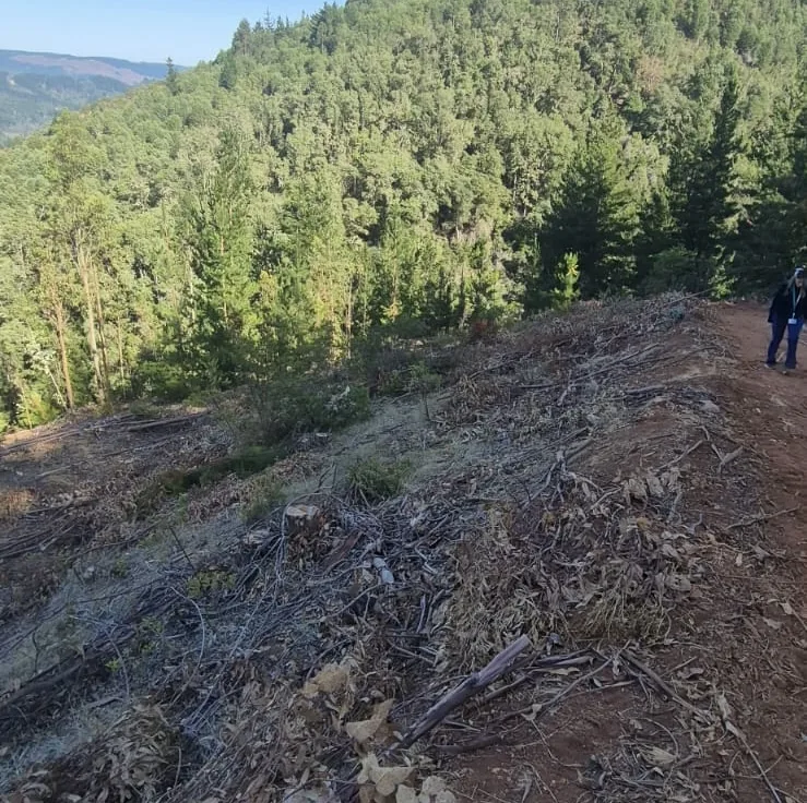 Conductor de tractor muere en accidente de tránsito en la zona rural de Vichuquén.