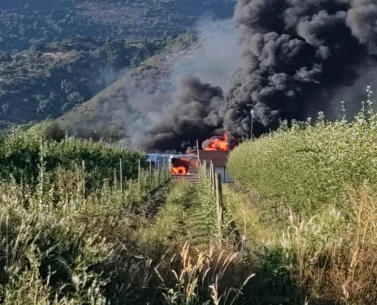 Incendio en bodega con maquinaria agrícola deja pérdidas millonarias en Teno
