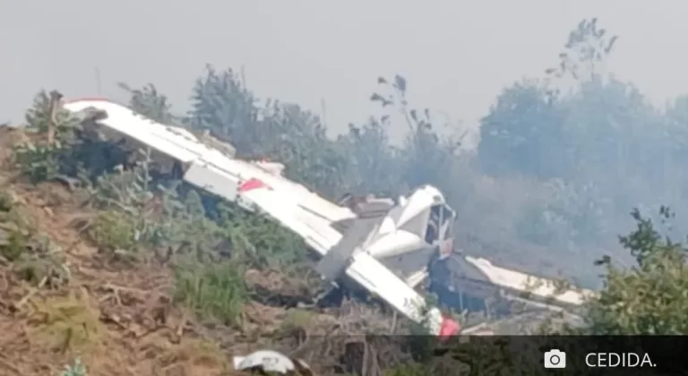 Avioneta que combatía incendio forestal cae en Lebu y deja piloto lesionado