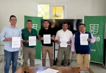 Cuatro concejales de Teno solicitan sesión extraordinaria para votar la remoción del administrador municipal-1