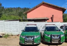 Detienen a mujer por cultivo ilegal de marihuana en sector Siete Robles de Vichuquén Detienen a mujer por cultivo ilegal de marihuana en sector Siete Robles de Vichuquén