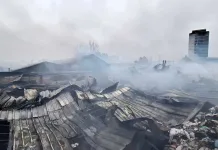 Detienen a presunto autor de incendio forestal con víctimas fatales en el Biobío