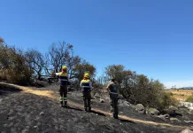 Fiscalía instruye peritajes por incendio forestal de gran magnitud en Cauquenes Fiscalía instruye peritajes por incendio forestal de gran magnitud en Cauquenes