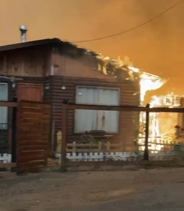 Decretan Estado de Catástrofe regiones de Ñuble y Biobío por avance de incendios forestales