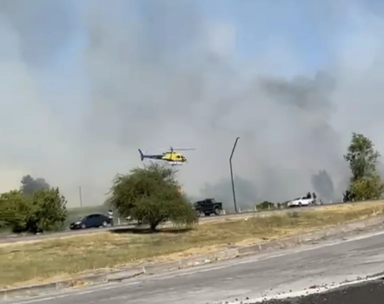 Incendio forestal en sector La Troya consumió 23 hectáreas y obligó a declarar alerta roja comunal