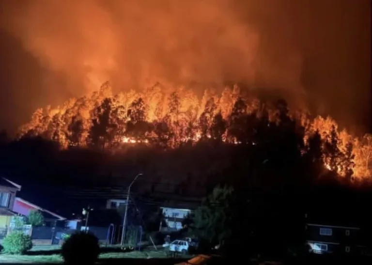 Municipios y organizaciones de O’Higgins articulan amplia red solidaria para apoyar a zonas afectadas por incendios forestales en el sur del país