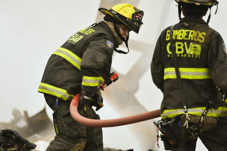 Senapred solicita evacuación de sectores de Retiro por incendio forestal