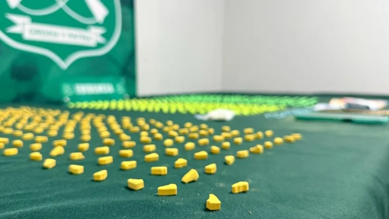 Detienen a dos sujetos por tráfico de drogas y a un tercero con orden vigente por homicidio en la Ruta 5 Sur frente a Mostazal