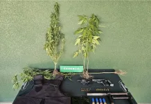 Carabineros detuvo a 15 personas en amplios operativos de control y fiscalización en Graneros, Mostazal y Codegua IMG_1588