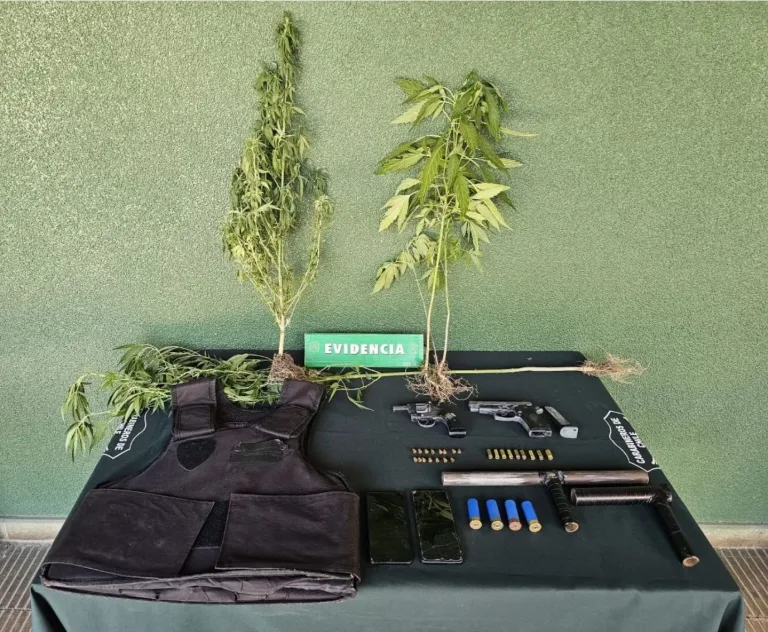 Carabineros detuvo a 15 personas en amplios operativos de control y fiscalización en Graneros, Mostazal y Codegua