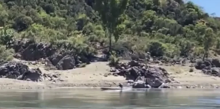 Hallan sin vida a joven boliviano que había sido arrastrado por el río Longaví Sur en Retiro