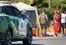 Investigan muerte de adulto mayor en camino a Tutuquén, en Curicó IMG_9158