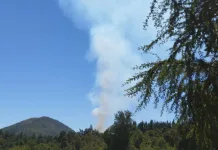 Incendio-forestal-alupenhue-molina