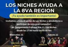 Los Niches impulsa campaña solidaria en apoyo a familias afectadas por incendios forestales en el Biobío Los Niches impulsa campaña solidaria en apoyo a familias afectadas por incendios forestales en el Biobío