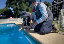 Más de 160 piscinas en el Maule llaman a denunciar incumplimientos y exigir condiciones seguras