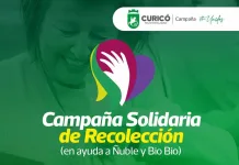 Municipalidad de Curicó inicia campaña solidaria para apoyar a zonas afectadas por incendios forestales Municipalidad de Curicó inicia campaña solidaria para apoyar a zonas afectadas por incendios forestales