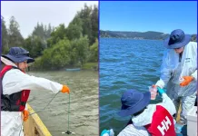 Tecnología chilena apunta a recuperar el Lago Vichuquén tras crisis por algas tóxicas Tecnología chilena apunta a recuperar el Lago Vichuquén tras crisis por algas tóxicas