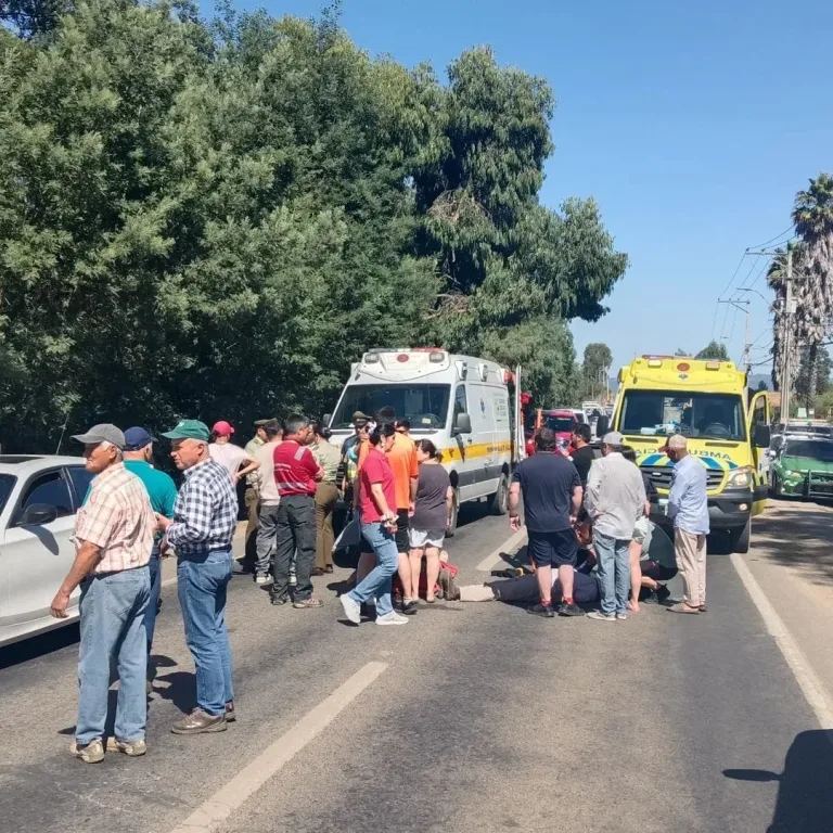 Accidente de tránsito en Ruta J-60 deja dos personas lesionadas en Hualañé