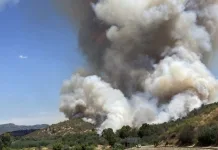 Declaran Alerta Roja en Curepto por incendio forestal que amenaza sectores poblados f016421e-bb34-41b9-919d-0247196cba80