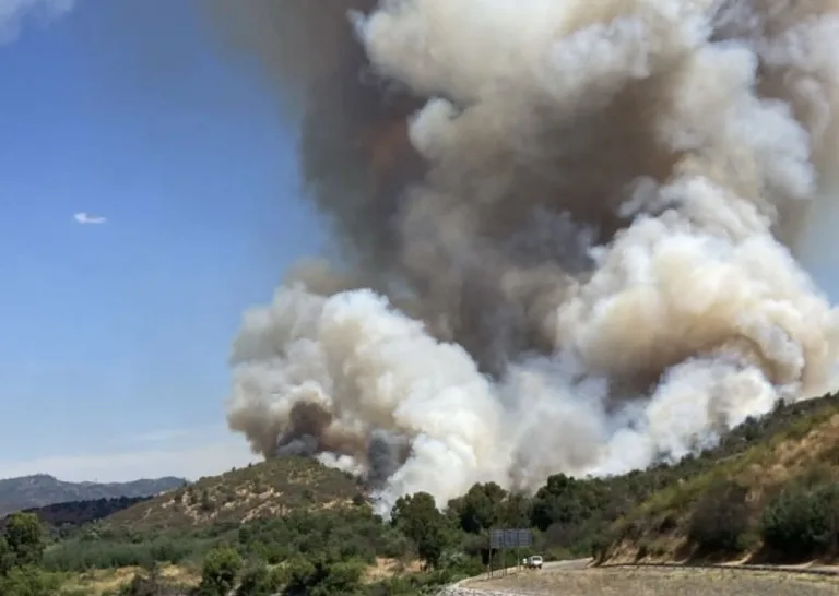 Declaran Alerta Roja en Curepto por incendio forestal que amenaza sectores poblados
