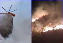 Continúan este martes las labores de extinción por incendio forestal en Cerro Casas Viejas, en Cumpeo incendio forestal en Cerro Casas Viejas, en Cumpeo-02