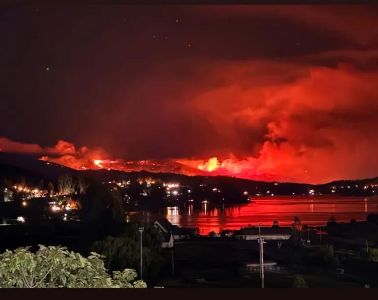 Incendio forestal “Alto Llico” afecta 200 hectáreas y mantiene Alerta Roja en Vichuquén