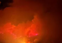 Alcalde de Vichuquén confirma tres viviendas consumidas por Incendio forestal “Alto Llico” 54d17646-f445-45be-a8a9-622259da2a72