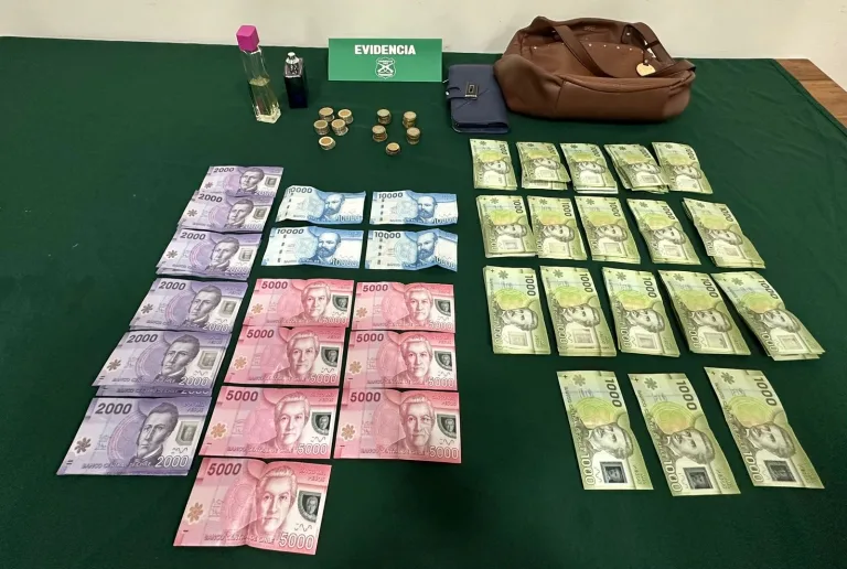 Carabineros detuvo a un sujeto por robo de cartera en el centro de Linares