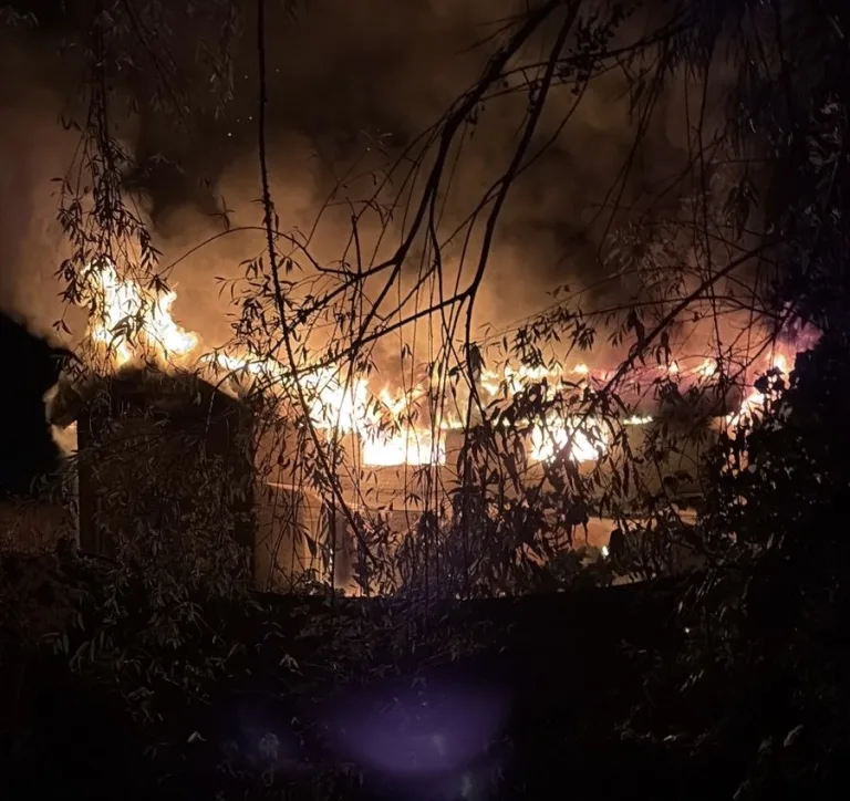 Incendio destruye vivienda en sector Comalle, comuna de Teno