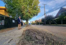 Este lunes corte de tránsito en calle René León por trabajos de reparación de calzada en Curicó 9965967b-2ff5-410b-88a1-3d3b813b8401