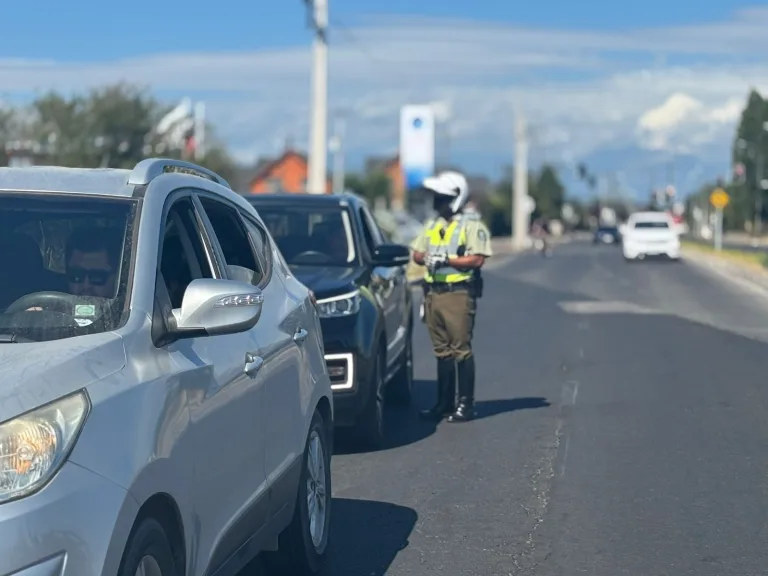 Ronda focalizada de Carabineros dejó 14 detenidos en Curicó