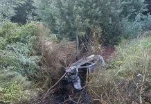 Accidente vehicular en Ruta M-50 dejó automóvil incendiado y corte de energía en comunas costeras del Maule