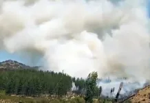 Declaran Alerta Amarilla para la comuna de Curepto por incendio forestal El Ajial