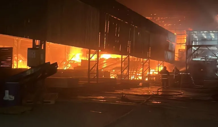 Incendio de grandes proporciones afectó aserradero en Peralillo y movilizó a Bomberos de la región de O’Higgins