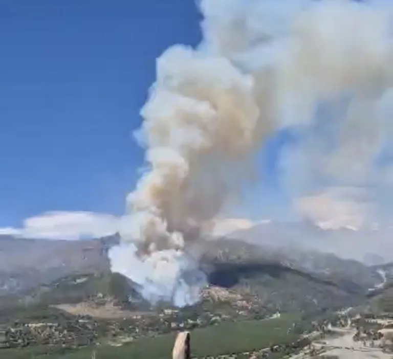 Senapred declara Alerta Roja en Machalí por incendio forestal cercano a tendido eléctrico